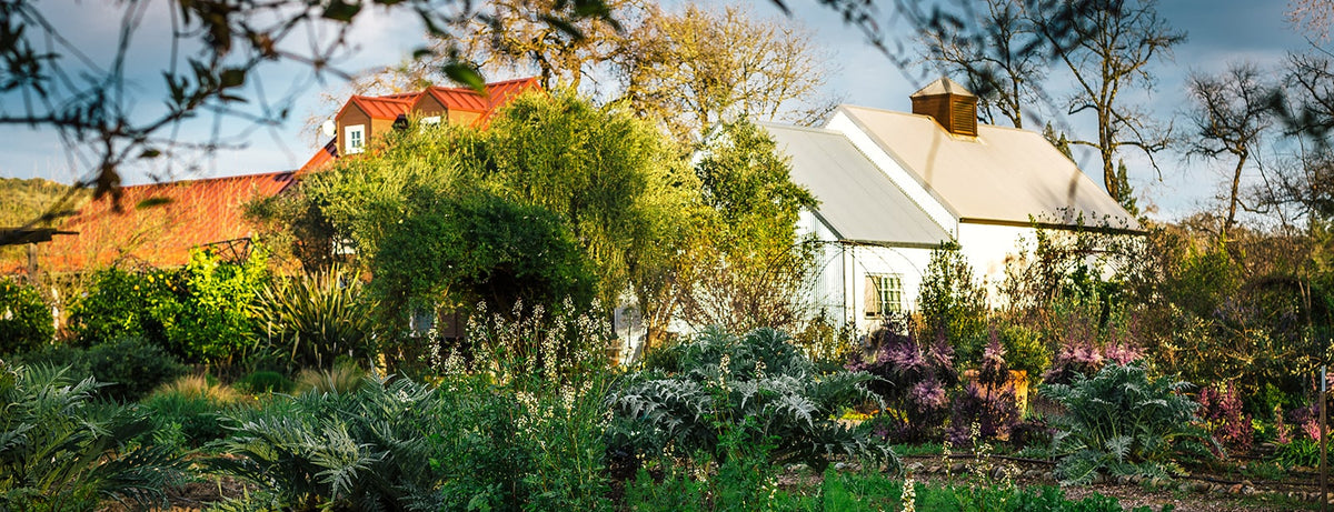 Image showcasing Estate & Farm – aesthete wines